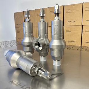 Válvula <span class=keywords><strong>de</strong></span> seguridad con resorte NAI-LOK SS316, 1 pulgada MNPT x FNPT roscada, válvula <span class=keywords><strong>de</strong></span> alivio <span class=keywords><strong>de</strong></span> presión <span class=keywords><strong>de</strong></span> 3000 PSI para tuberías <span class=keywords><strong>de</strong></span> gas y vapor - Product Image 5