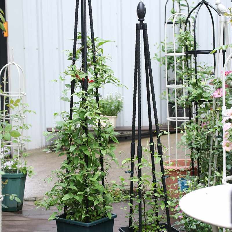 Lot De 2 Treillis Obélisque De Jardin Pour Plantes, Support Pour Plantes Grimpantes En Métal Réglable De 143 Cm De Haut, Cage Et Supports 2 En 1 Pour Vigne Fleurs Légumes(31 X 143 Cm