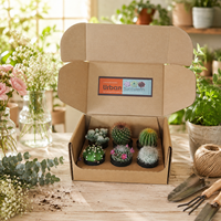 Carton en papier personnalisé boîte d'expédition d'emballage de plantes vivantes carton ondulé en papier kraft boîte d'expédition en pot pour plantes