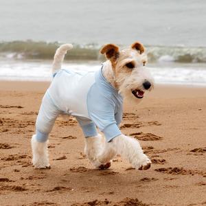 Chien solide écologique Anti-UV mince <span class=keywords><strong>tout</strong></span> <span class=keywords><strong>compris</strong></span> Cool vêtements ouvert entrejambe été Teddy vêtements pour petits chiens de taille moyenne - Product Image 3