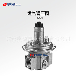 Vanne de réduction de pression Dungs FRS503 1/2 pouce pour brûleur de chaudière, vanne de régulation de gaz - Product Image 4