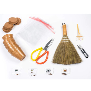 Ensemble de plantation de bonsaï Kit de plantation d'intérieur bricolage pour enfants adulte <span class=keywords><strong>Pot</strong></span> biodégradable plantation avec petit balai - Product Image 3