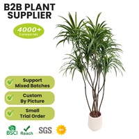 Plante artificielle de yucca en plastique de qualité supérieure, bonsaï réaliste, faux arbre durable, résistant aux UV, écologique, décoration d'intérieur