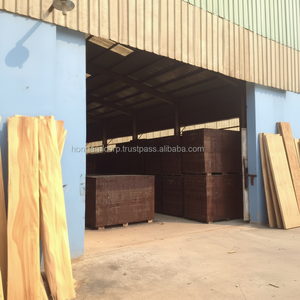 Contrachapado de Álamo de Primera Calidad WBP 72h con Revestimiento de Película, E1 Formaldehído, para Construcción en Exteriores - Product Image 1