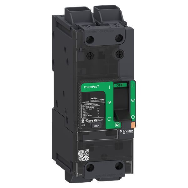 Bjl26125lu 125a Powerpact 2-pole Magnetic Thermal Circuit Breaker, Toggle Reset Series for Plc
