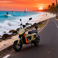 Moto U2Pro Streetbikes, moteur haute performance 100W, batterie 60V, scooter électrique longue portée, vitesse maximale de 50 km/h