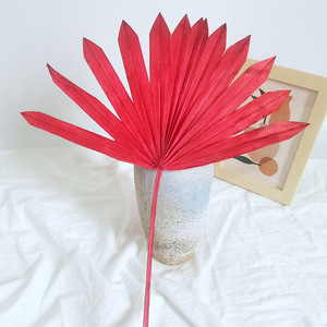 Abanico conservado color hojas de <span class=keywords><strong>palma</strong></span> secas <span class=keywords><strong>Palma</strong></span> decorativa hojas de <span class=keywords><strong>girasol</strong></span> Decoración flor seca - Product Image 3