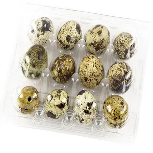 Quail Egg Fresh Eggs Rectangle PET 12 Quail Egg Holders Tray Clear Plastic Fresh Quail Eggs Packing Box