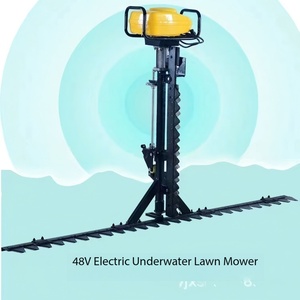 Tagliaerba Elettrico Subacqueo 48V per Laghetto e <span class=keywords><strong>Lago</strong></span>, Tagliaerba Acquatico per la Rimozione di Giunghi, Vendita all'Ingrosso per Fabbriche - Product Image 2
