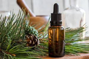 Natural Pine Oil for Cosmetic Manufacturing and <b>Personal</b> Care Applications High Purity Botanical Oil for Skincare Hair Oils - Product Image 2