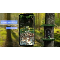 Mangeoire à oiseaux intelligente AI RS1 avec reconnaissance, WiFi et 4G, vue HD 3MP, panneau solaire extensible 6W, identification par IA, alimentation solaire, alimentation des oiseaux en extérieur