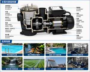<span class=keywords><strong>Pompe</strong></span> de <span class=keywords><strong>piscine</strong></span> auto-amorçante haute efficacité avec couvercle de panier filtrant transparent pour système de circulation d'eau de <span class=keywords><strong>piscine</strong></span> - Product Image 2