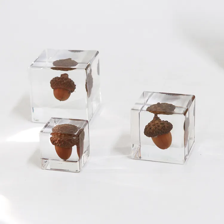 Nhà máy tùy chỉnh acorn hình giáo dục trang trí thủ công mỹ nghệ acorn nghệ thuật mặt hàng lưu niệm nhựa thủ công mỹ nghệ