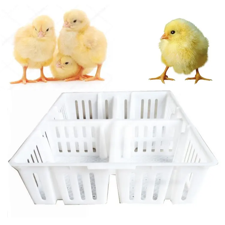Cage de transport des poules, accessoire de transport direct depuis l'usine, pour poules, volaille, nouveauté 2020
