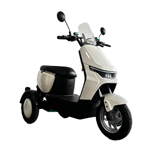 Triciclo Elettrico per Adulti 1000W 60V, Scooter <span class=keywords><strong>a</strong></span> <span class=keywords><strong>Tre</strong></span> Ruote con Carrozzeria Aperta per 2 Passeggeri - Product Image 1