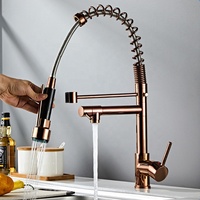 Nouvelle rallonge de robinet universelle rotative noircie, extension pivotante à ressort, pulvérisateur extractible, robinet de cuisine, évier, noyau de valve en céramique