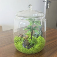 Mini Terrario de vidrio con contenedor de naturaleza DIY con tapa de vidrio para Decoración de mesa de paisaje que sirve como urna o jarrón elegante