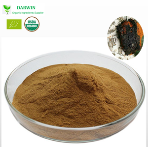 orgabnic <strong>bai</strong> <strong>hua</strong> <strong>rong</strong> high quality herbal dried whole chaga mushroom - Product Image 3