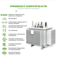 Fabricant de transformateurs triphasés immergés dans l'huile S20, transformateurs MV et HV de 630 kVA, transformateurs MV et HV sur mesure