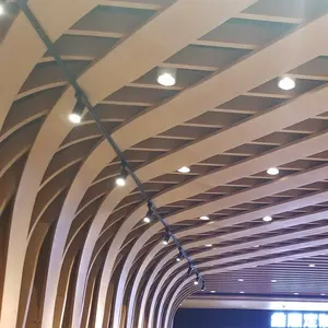 Перфорированная алюминиевая потолочная решетка разной формы для наружного украшения отеля, теплоизоляция