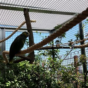 Green <b>Plastic</b> Coated Electro Welded <b>Mesh</b> 12.7x12.7 Mm Square Garden Netting Protective Metal <b>Mesh</b> 10 Meter Roll - Product Image 5
