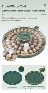 Venta 52 Controlador de temperatura y humedad de huevos de gallina para incubadora - Product Image 6