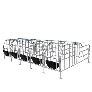 Establo <span class=keywords><strong>de</strong></span> gestación galvanizado para cerdas, establo <span class=keywords><strong>de</strong></span> parideras y engorde con corral <span class=keywords><strong>de</strong></span> cría y comedero, usado para granjas. - Product Image 4