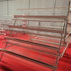 Jaulas de gallinas ponedoras multinivel de tres a cuatro niveles con comederos verdes/blancos para pollos - Suministro del fabricante - Product Image 2