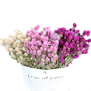 Vente en gros d'usine de fleurs séchées d'amarante rose et blanche, bouquet de fleurs séchées pour la décoration de la maison, bouquet de fleurs séchées DIY - Product Image 1