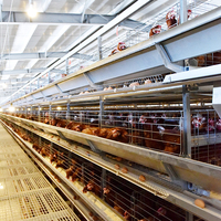Cage à poulets pour pondeuses élevage de volailles cages en batterie équipement de ferme avicole à poulets
