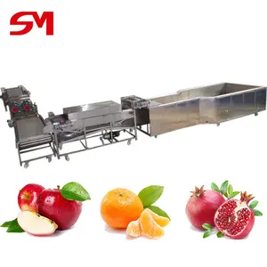 Labour-Saving Coconut Prickly Pear Grading Sorting Machine