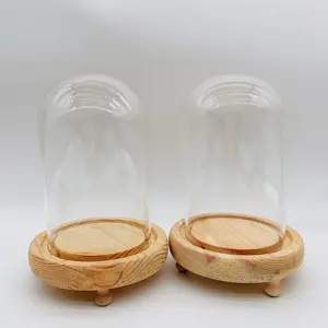 Handmade Bell Cloche Glass Dome With Wooden Base Transparent Custom Size Fiber Glass Dome