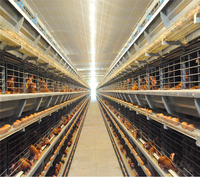 5000 à 100000 oiseaux Poulailler préfabriqué à structure en acier par panneau sandwich à bas prix