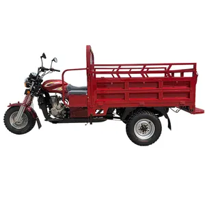 2022 Hot Selling 200cc Adult Petrol Water Cooled 3 Wheeler Motorcycle Motorized Tricycle For Cargo In Africa China