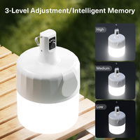 Éclairage LED portable pour le camping en plein air, outil magique avec crochet, étanche IP43, luminosité 500LM, autonomie de 6,5 heures, conception multifonctionnelle