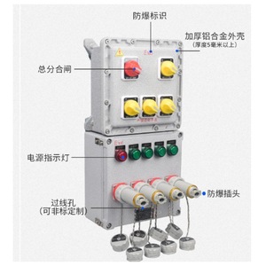 Caja de control a prueba de explosiones BXMD 10A IP65 para arrancadores de motores de bombas de agua, montaje en pared o suelo. - Product Image 3
