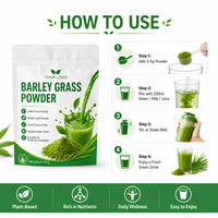 Poudre d'herbe d'orge pour adultes, 100g, sachet en aluminium, goût sucré, prête à consommer, améliore l'immunité, durée de conservation de 24 mois, personnalisable, directement de l'usine