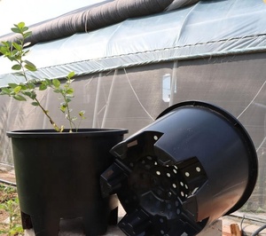 Jardinières et pots de <span class=keywords><strong>fleurs</strong></span> en PP noir en gros <span class=keywords><strong>à</strong></span> bas prix - Différentes tailles (1 <span class=keywords><strong>à</strong></span> 25 gallons) - Product Image 6