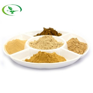 <b>Best</b> Price Food Grade Amur Corktree Bark Extract Powder Form Packaged in Drum Quality Phellodendron Amurense Bark Extract - Product Image 6