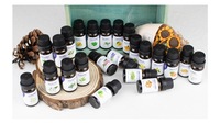 48 Aroma Tersedia: Minyak Esensial Aromaterapi Kemurnian Tinggi Berbasis Tumbuhan, Larut dalam Minyak, untuk Pijat di Rumah dan Perawatan Kulit, 10ml
