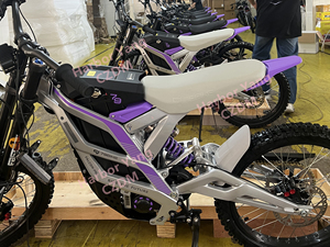 Falcon Pro 10K Leistungsstarkes 79Bike Pro 19-Zoll Elektro-Dirtbike mit LG-Lithium-Akku, Offroad-E-Bike 79Bike auf Lager - Product Image 4