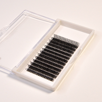 LashPlus Nouvelles Tendances Marque Privée Éventail de Cils Pré-fabriqué Pro Volume avec Prélèvement en un Clic Zéro Temps Éventail de Cils Promade