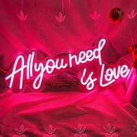 Winbo Dropshipping Vente en gros de néons personnalisés, enseigne « love Is love », enseignes néon LED personnalisées pour la décoration murale, personnalisées
