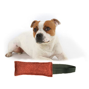 Nouveaux jouets à mâcher pour chiens, style tendance et durable, jouets indestructibles pour la dentition de tous les chiens, jouets à mâcher pour nettoyer les dents des chiots - Product Image 1