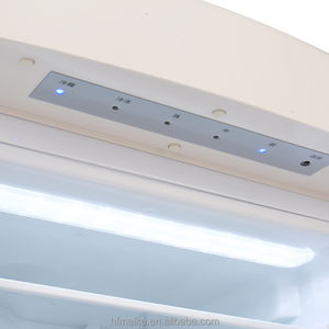 Organisateur de réfrigérateur à gaz bon marché et affichage Mini congélateur 12V - Product Image 5