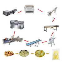 Automatische productielijn voor aardappelchips, industriële aardappelwaslijn