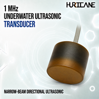 Transducteur ultrasonique piézoélectrique sous-marin étanche Hurricane 1 MHz avec boîtier PI pour capteur de débit d'eau et de liquide