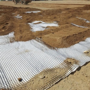 120-120kn Polyester geogrid vật nuôi hai trục geogrid cho dốc bảo vệ đường sắt xây dựng đường - Product Image 5