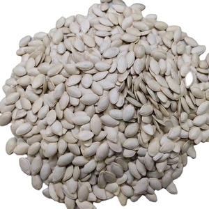 Semillas de Calabaza Blanca como la Nieve Golden Harvest, 10 cm, de Mongolia Interior, Crudas y Secas, de Grado Alimenticio - Product Image 1