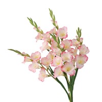 Bunga Gladiolus Buatan Merek Yida, Batang Panjang 91cm, Bahan PU Sutra, Gaya Nordik untuk Dekorasi Pernikahan, Hotel, dan Rumah, Cocok untuk Vas Lantai